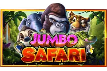 Bingo Online ag 555mix